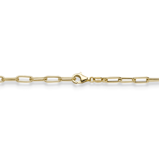 Paper Clip 3,5 mm GG 45 cm