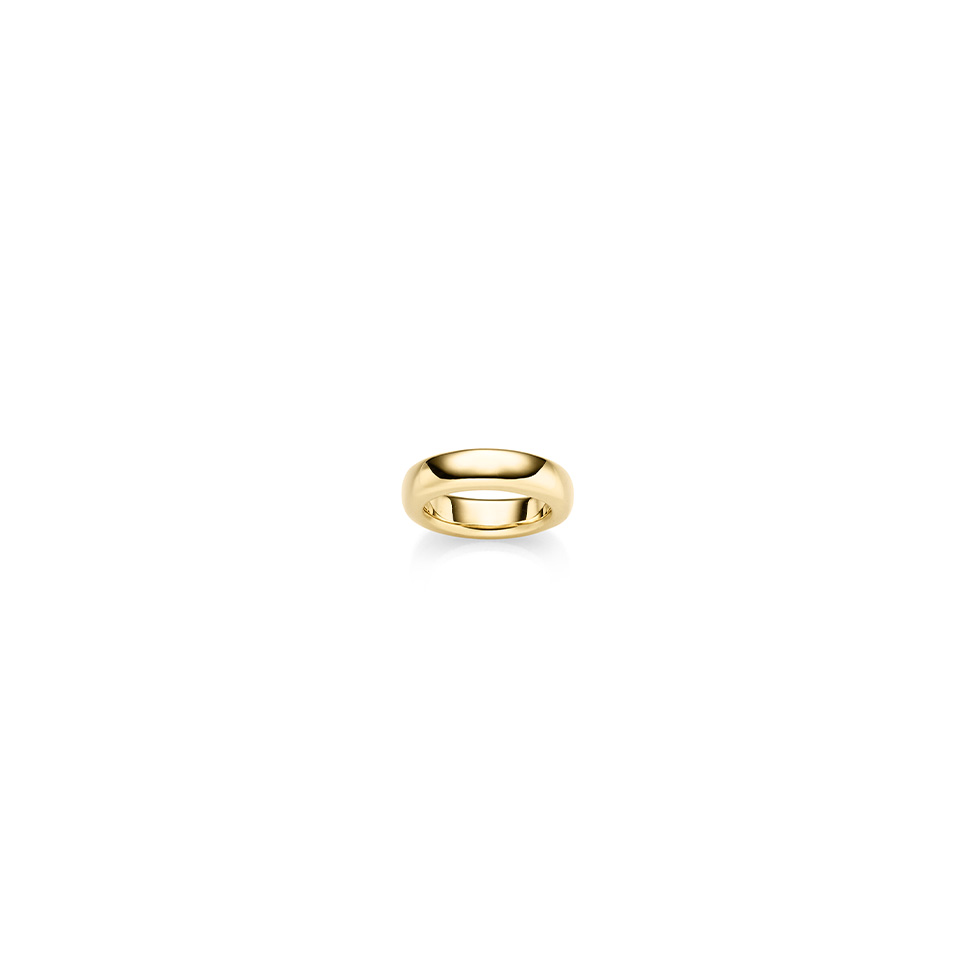 Ring 6,0 mm GG  W54