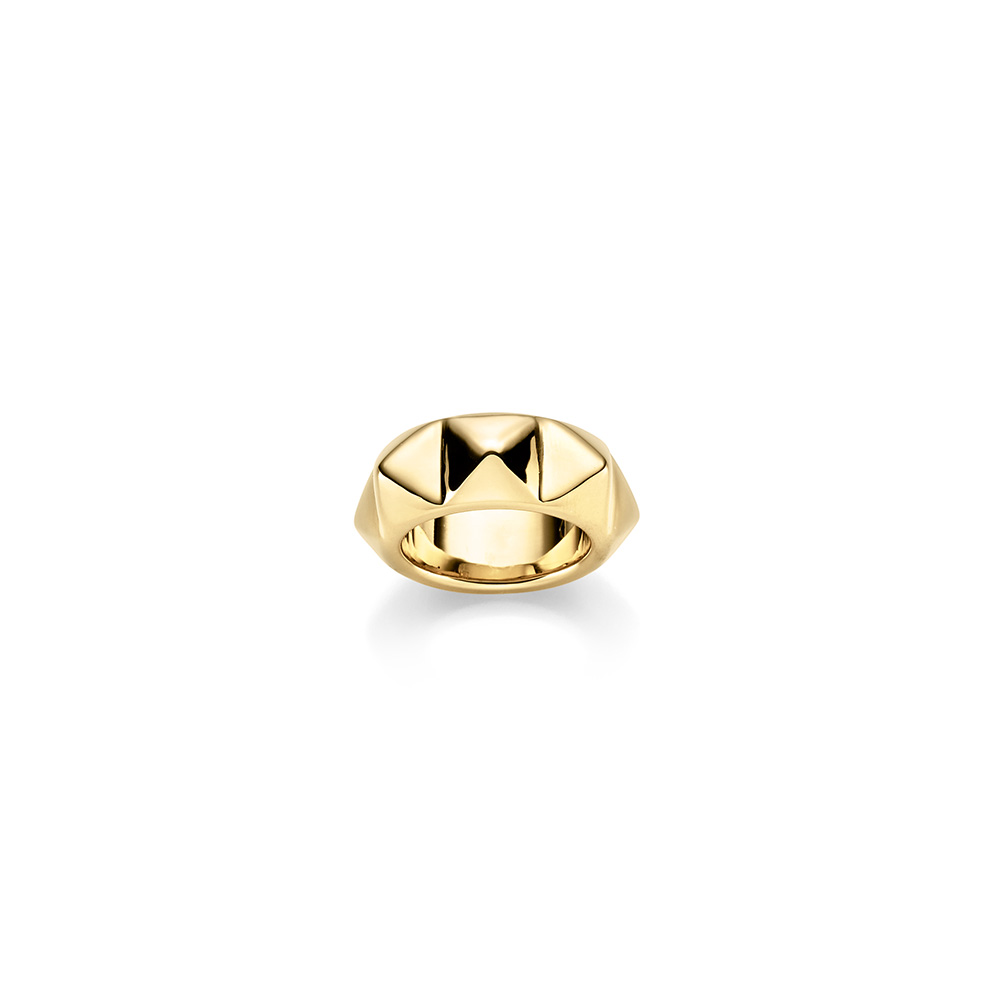 Ring (electroforming) 10,0 mm GG  W54