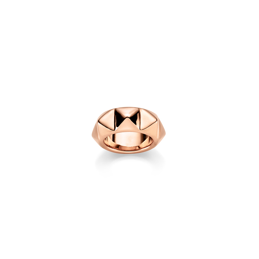 Ring (electroforming) 10,0 mm RG  W54