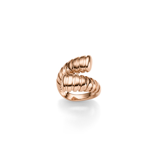 Ring RG  W54
