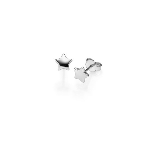 Ohrstecker Stern WG