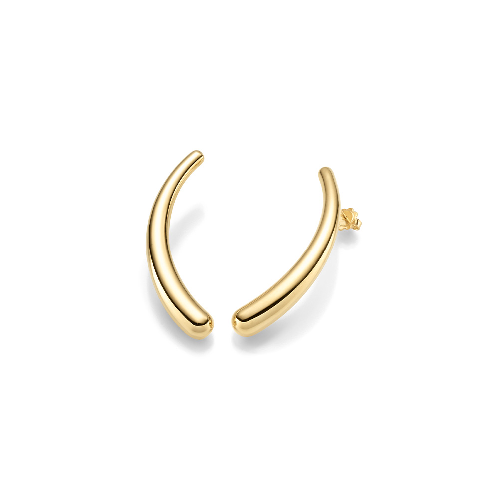 Ohrschmuck (electroforming) GG