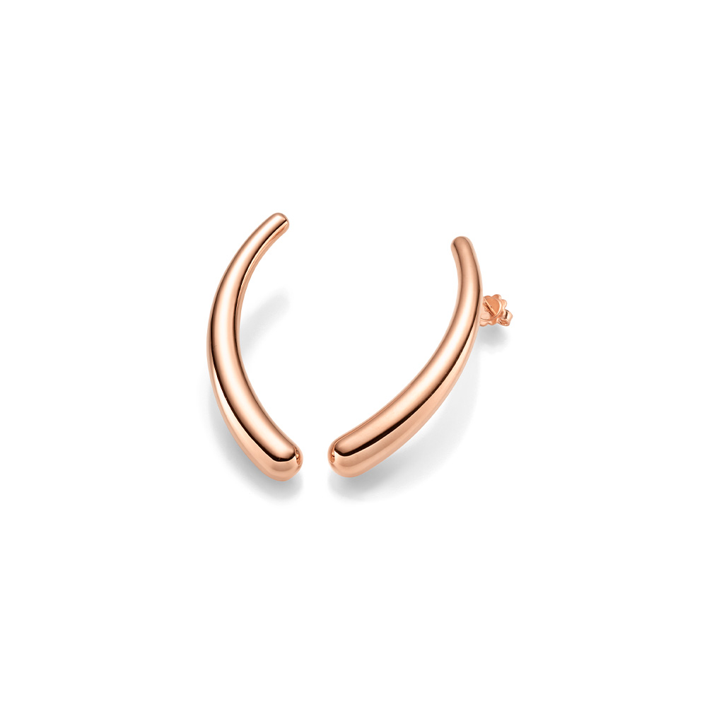 Ohrschmuck (electroforming) RG