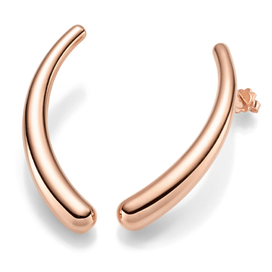 Ohrschmuck (electroforming) RG